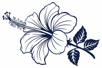 Hibiscus Flower Outline, Hibiscus Flower, Hibiscus flower vector illustration with line art,  Hand drawn hibiscus flower, Line Art Hibiscus Flower