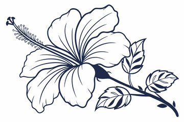 Hibiscus Flower Outline, Hibiscus Flower, Hibiscus flower vector illustration with line art,  Hand drawn hibiscus flower, Line Art Hibiscus Flower