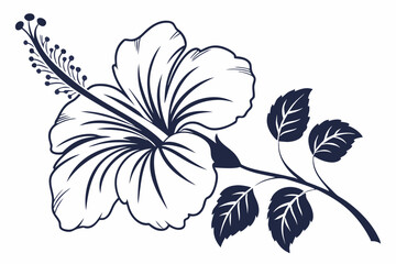 Hibiscus Flower Outline, Hibiscus Flower, Hibiscus flower vector illustration with line art,  Hand drawn hibiscus flower, Line Art Hibiscus Flower