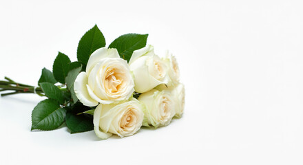 Obraz premium Close-up of white roses with green leaves arranged neatly against a white backdrop