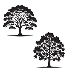 Sweetgum tree silhouette - vector image of sweetgum - tree silhouette - nature symbol - sweetgum tree set 