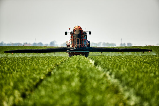 Serbia, Vojvodina Province, Tractor spraying herbicide in vast green wheat field