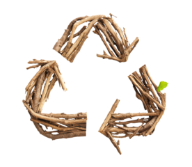 recycling symbol made of roots and grass, leaves, eco creative icon design. cutout