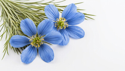 Naklejka premium Flax blue flowers painting landscapes with vibrant natural beauty