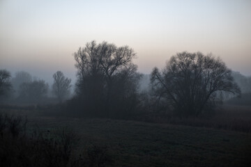 Rural landscape in winter, meadows and fields.
