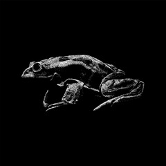 Scrotum Frog hand drawing vector isolated on black background.