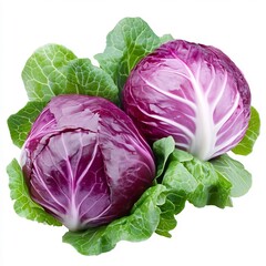 Obraz premium Vibrant Red Cabbage Closeup Nutritious and Versatile Vegetable Ingredient
