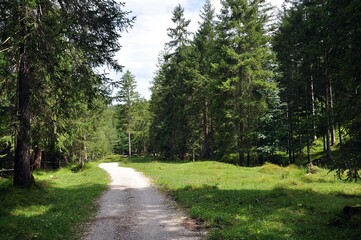 Unterwegs zum Isar-Stausee
