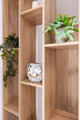 Indoor green plants on the shelf. Home interior