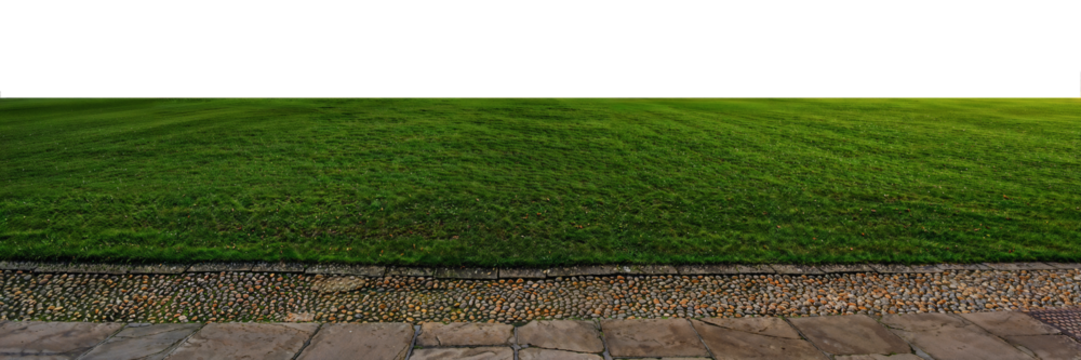 fresh green grass field with old stone tiles sidewalk isolated transparent png - Powered by Adobe