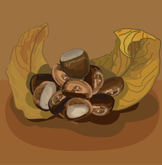 roasted chestnut decorated by dry fall leaves delicous food realistic vector illustration on white background