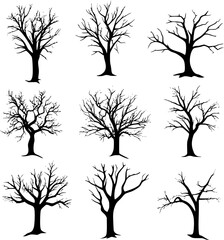 Obraz premium Dead tree black silhouette set transparent vector illustration