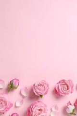 Beautiful composition with pink roses on color background 