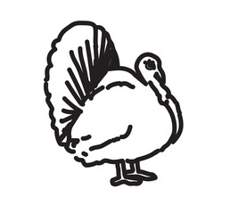 animal bird turkey black and white easy cartoon fall thanksgiving autumn vector illustration on white background