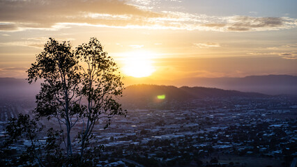 Silhouette of trees during sunset overlooking city, Townsville Australia