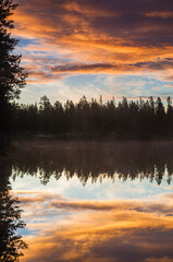 Serene sunset reflection over a calm lake surrounded by forest at dusk