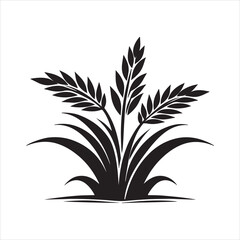 palm tree isolated on white background