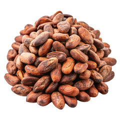Fototapeta premium Cocoa bean isolated on transparent background