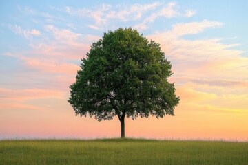 Fototapeta premium A solitary tree rises in an expansive field as a stunning sunset paints the sky, creating a peaceful atmosphere with plenty of blank space. Generative AI