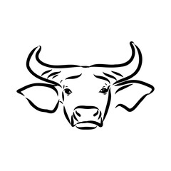 Bull in doodle style. Icons sketch hand made. Vector editable stroke.