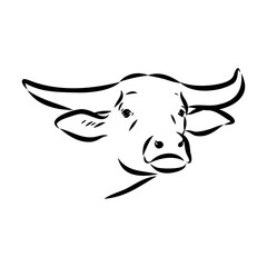 Bull in doodle style. Icons sketch hand made. Vector editable stroke.