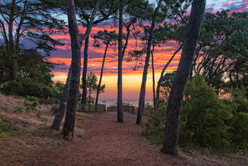 Plage des Dames, île de Noirmoutier