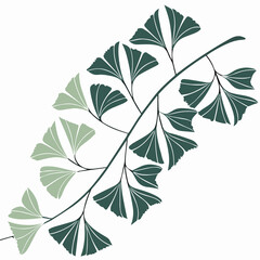 Fototapeta premium leaves background