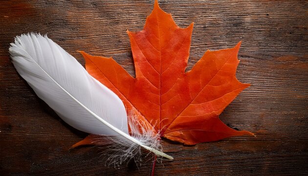 Honoring Truth: National Day for Truth and Reconciliation