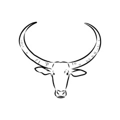 Bull in doodle style. Icons sketch hand made. Vector editable stroke.