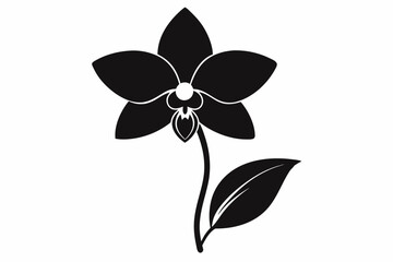 A simple Evening Orchid silhouette black vector white background © MdMijanur