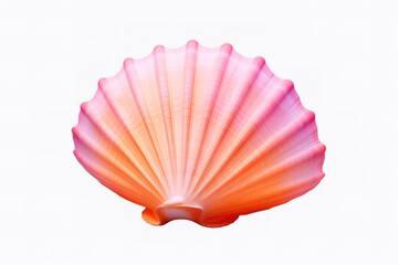 Fototapeta premium Seashell watercolor illustration. Hand drawn underwater element design. Artistic vector marine design element. Illustration for greeting cards, printing and other design projects. 