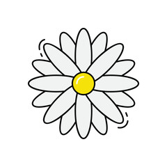 Daisy vector icon