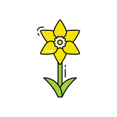 Daffodil vector icon