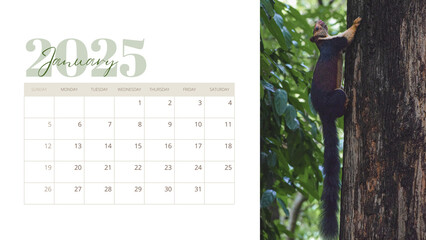 Calendar of January 2025