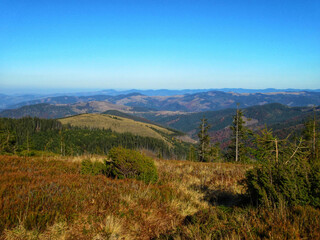 Breathtaking autumn landscape with golden hills