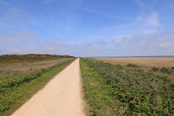 Blick auf die Küstenlandschaft bei Rantum auf der Nordfriesischen Insel Sylt	