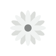 Daisy vector icon