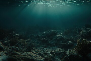 Fototapeta premium Serene Underwater Scene with Soft Sunlight Filtering Through Clear Water Above Coral Reef and Marine Life in Tranquil Ocean Environment