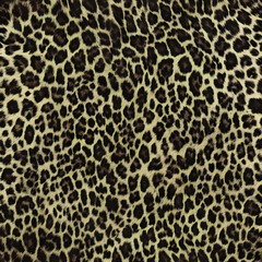 leopard texture, wild cat spots, fur, fluffy hairy background, dark pattern, stylish fashion design