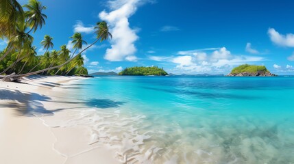 Fototapeta premium Idyllic tropical beach with palm trees, turquoise water, and white sand.