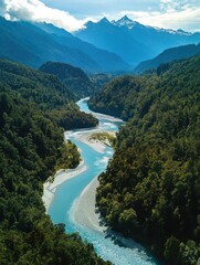 River flowing through dense foliage