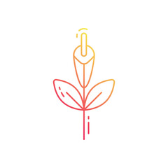 Gladiolus  vector icon