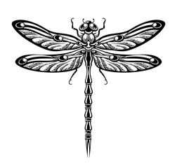 Elegant Dragonfly Art with Line art Stipple and Hand drawn Style