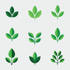 Leaves Icon - Vector Stock Illustration Flate template with Leaf Shapes Collection.
