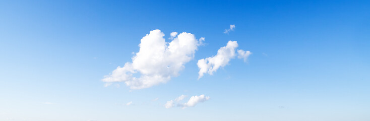 Art summer background