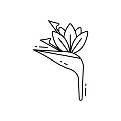 Bird of paradise vector icon