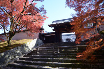 曼殊院　紅葉の勅使門　京都市左京区