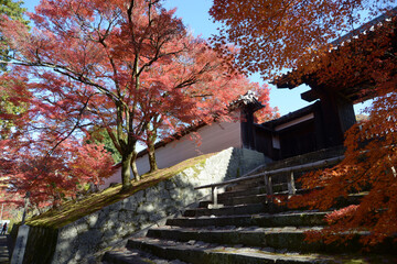 曼殊院　紅葉の勅使門　京都市左京区
