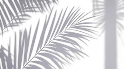 Obraz premium Abstract Shadow of Palm Leaves on a White Wall Background. Generator AI