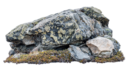 A forest stone formation isolated on a white background